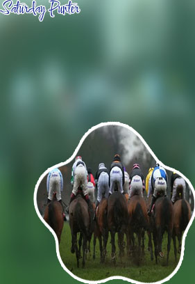 Best bets saturday horse racing